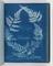 Album of cyanotypes of British and Foreign Ferns