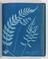 Album of cyanotypes of British and Foreign Ferns