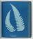 Album of cyanotypes of British and Foreign Ferns