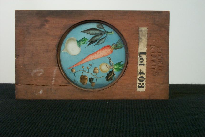 Magic lantern slide of vegetables