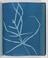 Album of cyanotypes of British and Foreign Ferns