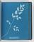 Album of cyanotypes of British and Foreign Ferns