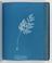 Album of cyanotypes of British and Foreign Ferns