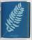 Album of cyanotypes of British and Foreign Ferns