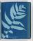 Album of cyanotypes of British and Foreign Ferns