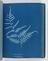 Album of cyanotypes of British and Foreign Ferns