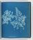 Album of cyanotypes of British and Foreign Ferns