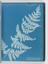 Album of cyanotypes of British and Foreign Ferns
