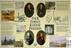 Four famous railway pioneers (poster (reproduction))