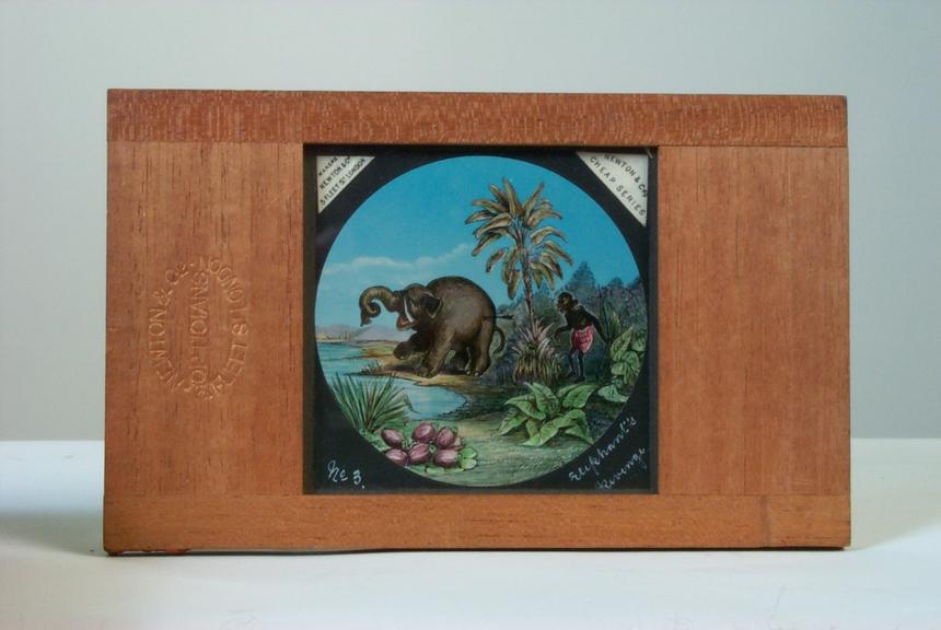 Magic lantern slide: 'The Elephant's Revenge', number 3