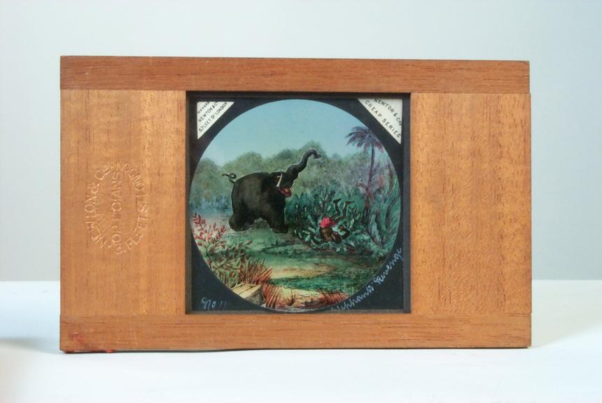 Magic lantern slide: 'The Elephant's Revenge', number 9