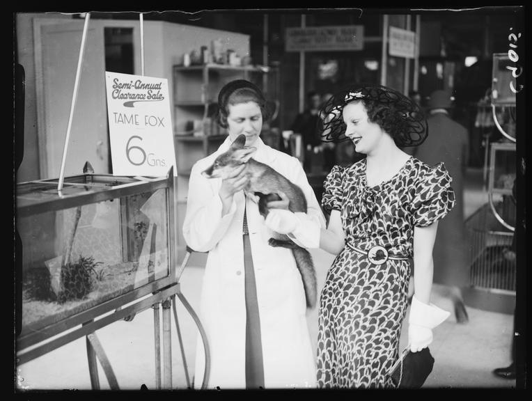 Fox for sale at Selfridges
    A photograph of two women admiring