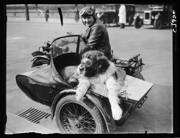 'Arriving in style for a dog show'
    A photograph of Mrs L