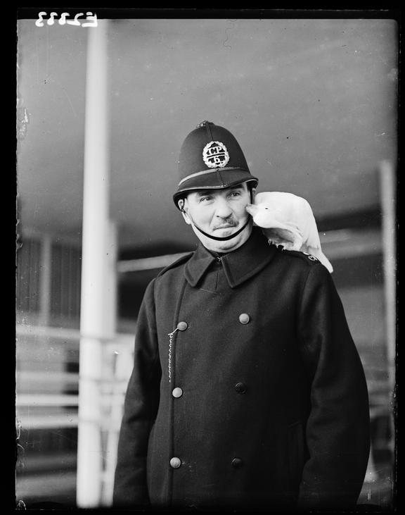 Policeman with cockatoo
    A photograph of a policeman with a