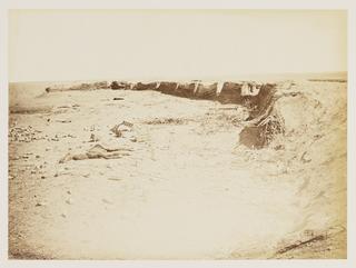 Dead donkey inside entrenchments at Tel-el-Kebir