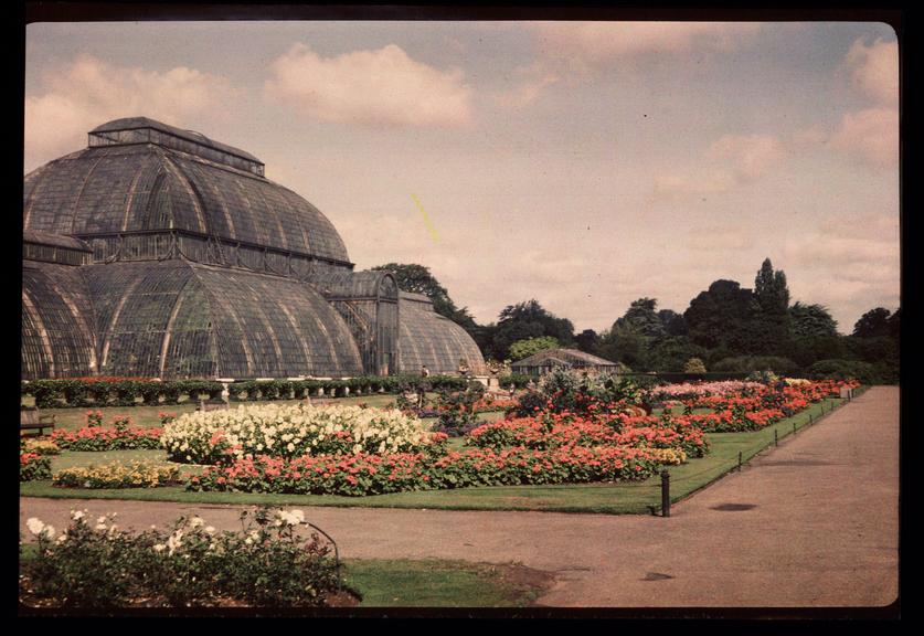 The Palm House