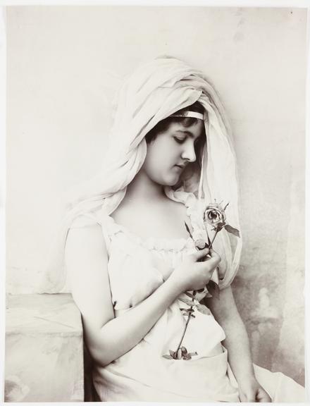 Woman holding a rose
    A studio portrait photograph of a young