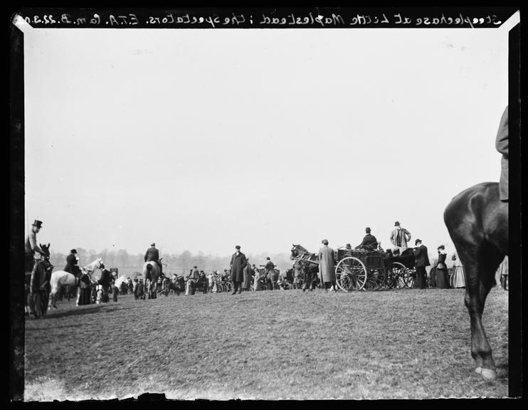 Steeplechase at Little Maplestead: The Spectators