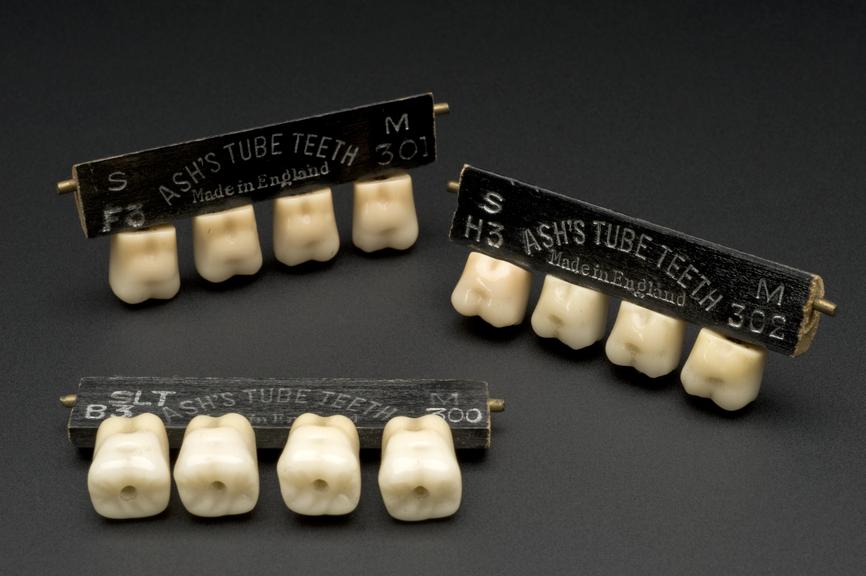 Three blocks of Ash's posterior tube teeth, London, England, 1909-1925 (denture)