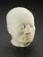 Plaster phrenological head, possibly of Gall, 19th century