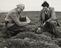 Two brothers on the Farne Islands
    A photograph of two brothers