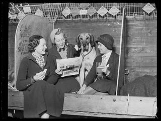 Group of lady owners having lunch with a great Dane, Crufts