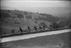 Cyclists at Box Hill, Surrey