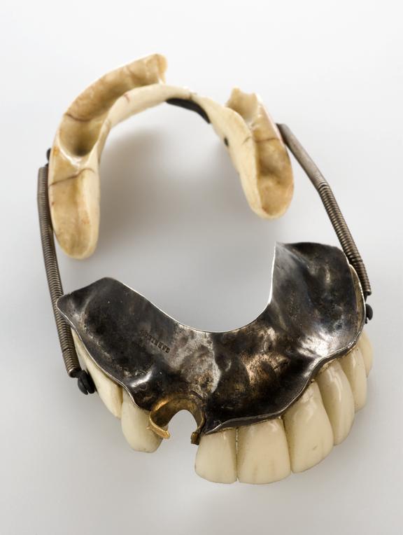 Partial upper and lower denture, with springs, lower of ivory