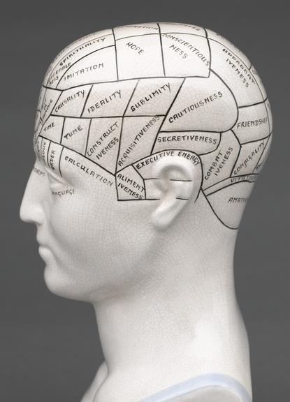 Phrenological Head, United Kingdom, 1901-1970