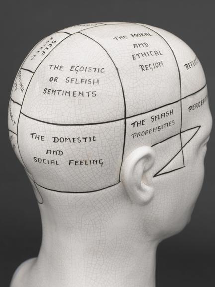 Phrenological Head, United Kingdom, 1901-1970