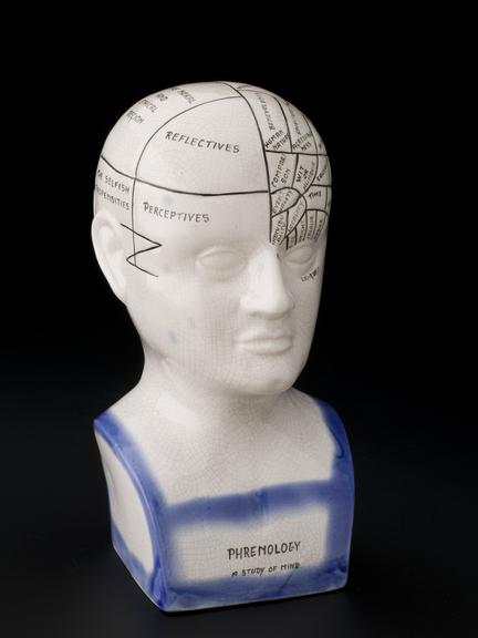 Phrenological head, United Kingdom, 1901-1970