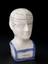 Phrenological bust, glazed earthenware, unsigned, British