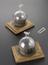 Two globes used in determining the densities of gases