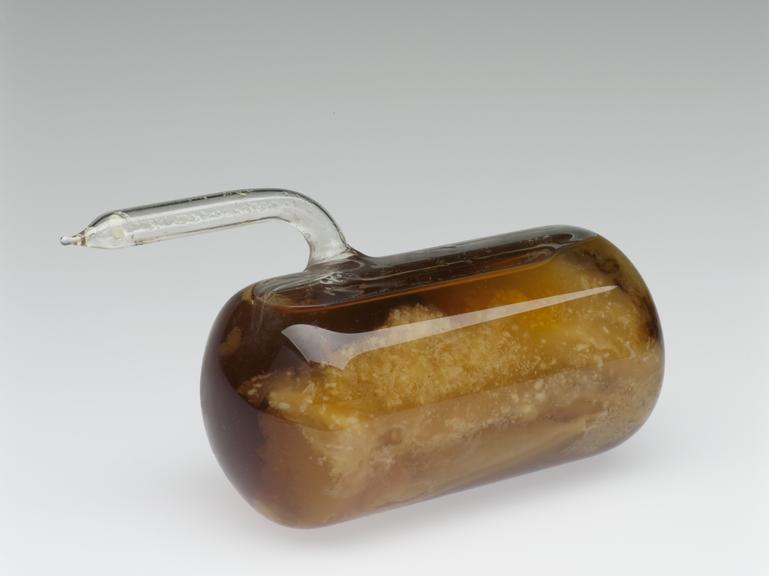 A sealed cylindrical vial of whale oil from the exhibit on the manufacture of soap and detergents