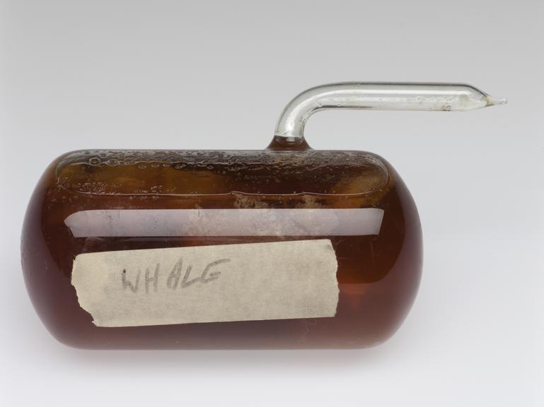 A sealed cylindrical vial of whale oil from the exhibit on the manufacture of soap and detergents