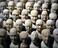 Set of sixty miniature heads used in phrenology (phrenological head)