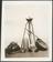 Air Pump and Magdeburg Hemispheres. Image SME No. 12*