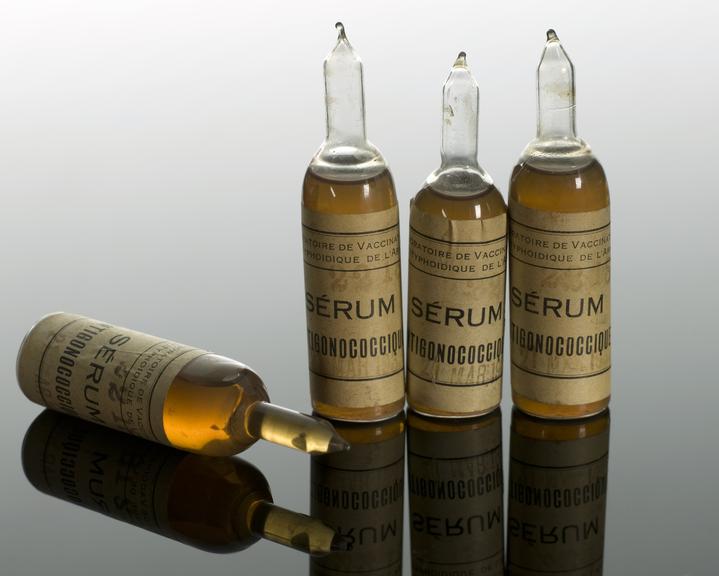 Ampoules, 4, of gonococcus serum