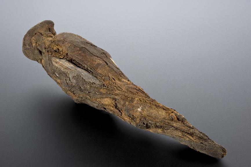 Mummy of peregrine falcon, Egyptian, 2000-1001 BC