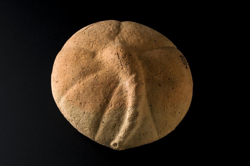 Votive placenta, terracotta, probably Roman, 200BC-200AD