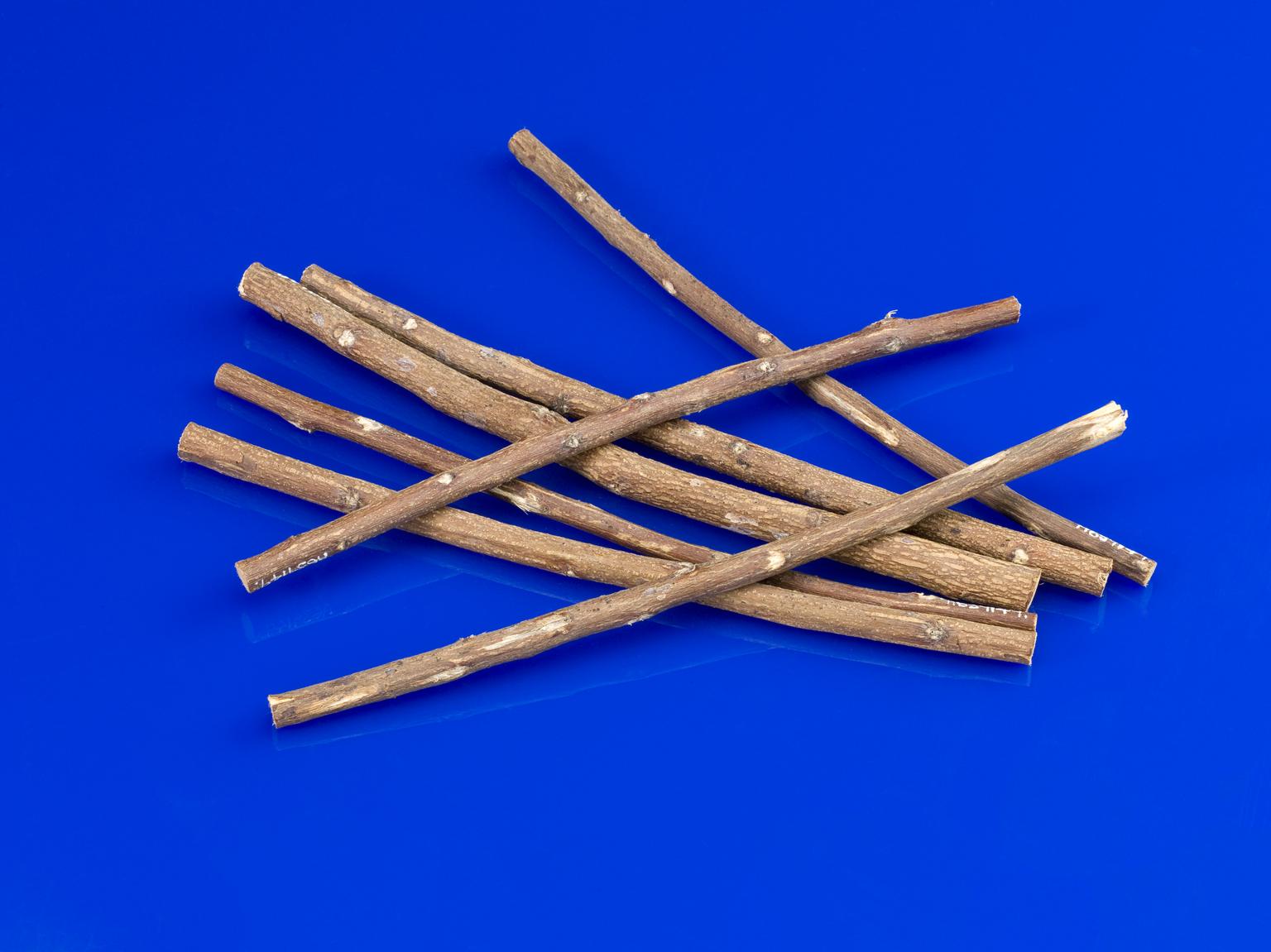 Seven datoon toothbrushes, India, 1880-1920