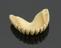 Underside of full upper denture, ivory, English, 1780-1870