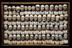 Wooden case containing 60 small phrenological heads