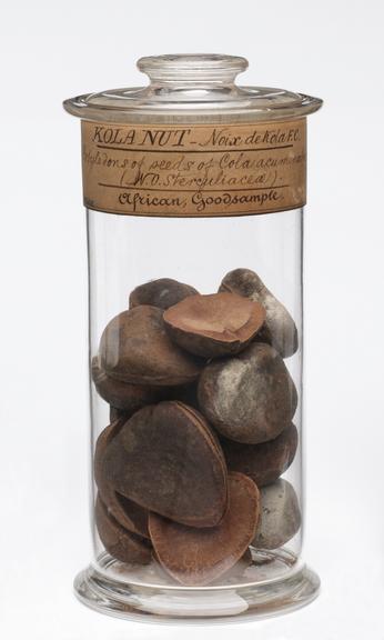 Jar containing large kola nuts from Africa, bottled in England