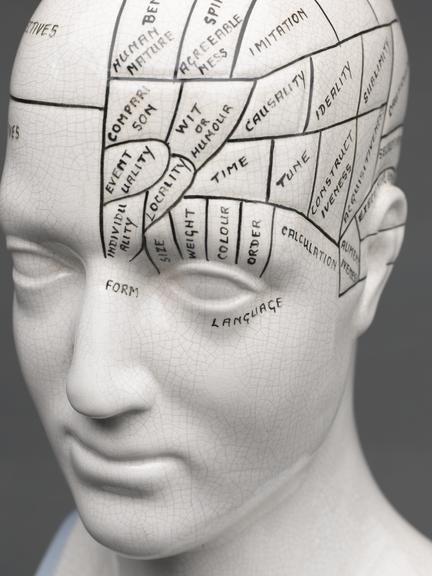 Phrenological Head, United Kingdom, 1901-1970