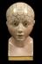 Porcelain phrenological bust, tinted skin colour