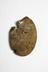 UMAU archaeological archives:
Moston Old Hall (MOH03/04/05)