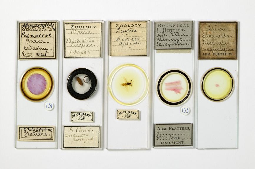 Microscope slides by Abraham Flatters. Printed labels show "Abm