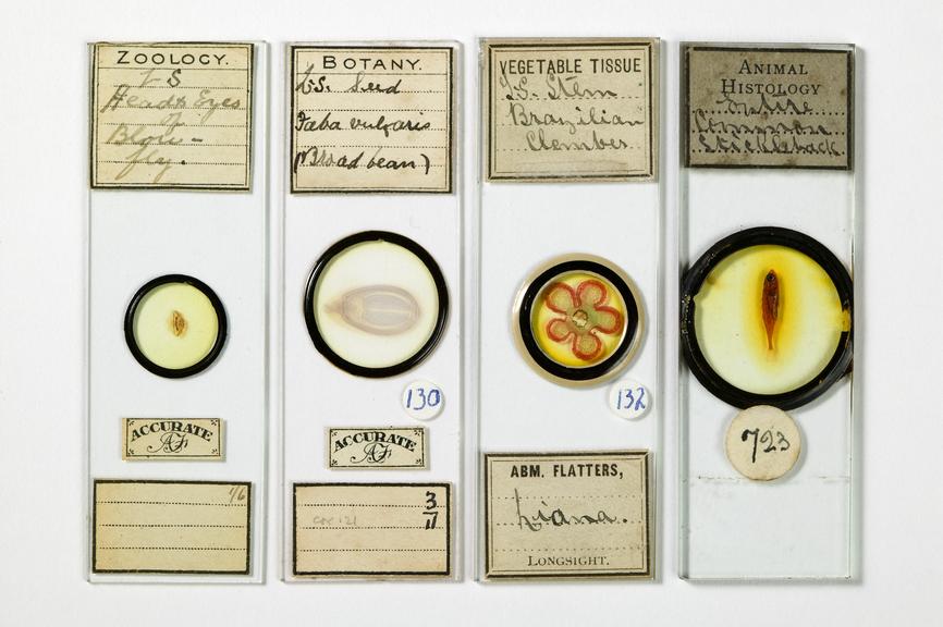 Microscope slides by Abraham Flatters. Printed labels show "Abm