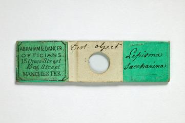 Test sample microcscope slide